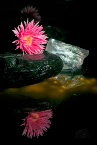 Frank_S_G1_05