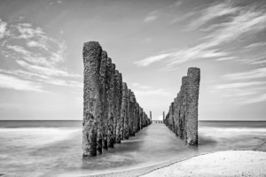 Viola_R_G1_04