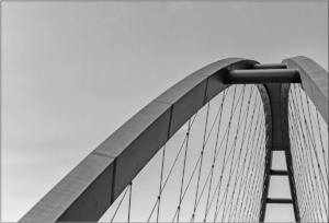 Viola_R_G1_08