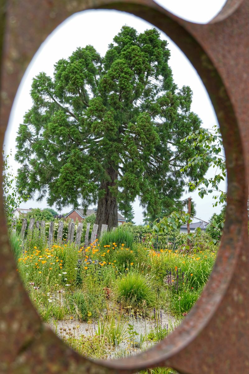 BarbaraV_Finde einen Rahmen