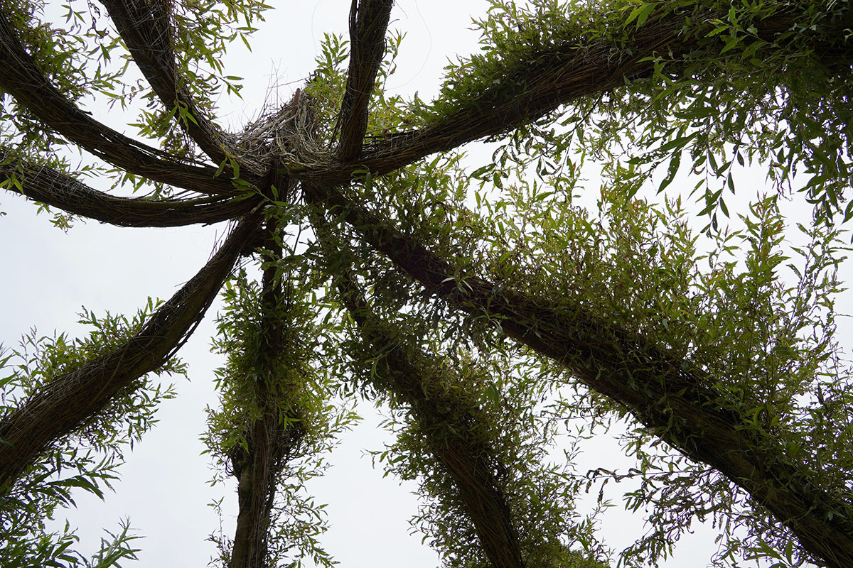 BarbaraV_Perspektive